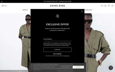 Anine Bing website screenshot