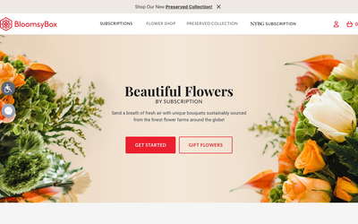 BloomsyBox website screenshot