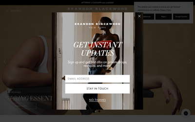 Brandon Blackwood website screenshot