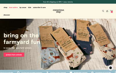Conscious Step website screenshot