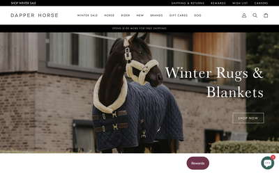 Dapper Horse website screenshot
