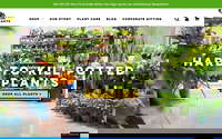 Desk Plants website screenshot