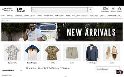 DXL Group website screenshot