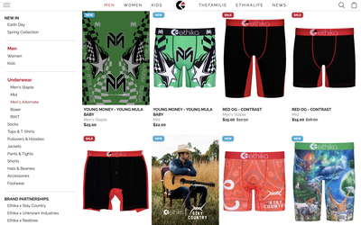 Ethika website screenshot