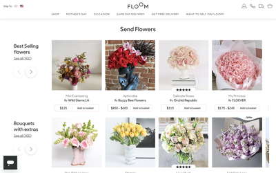 Floom website screenshot