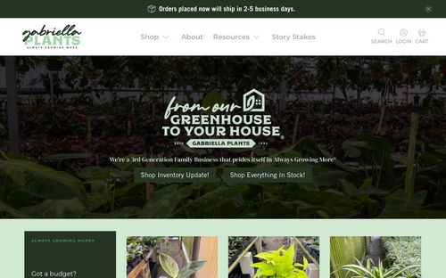 Gabriella Plants