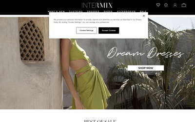Intermix website screenshot