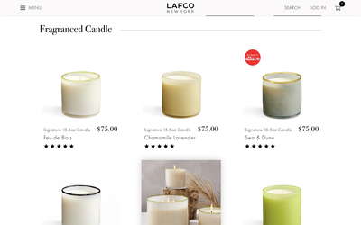 LAFCO New York website screenshot