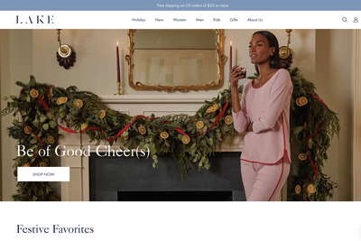 LAKE website screenshot