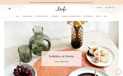 LEIF website screenshot