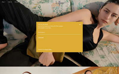 Liffner website screenshot