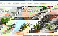 Lively Root website screenshot