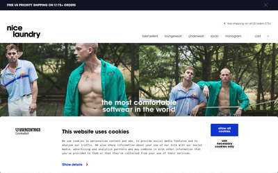 Nice Laundry website screenshot