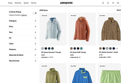 Patagonia website screenshot