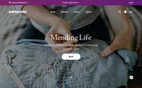 Patagonia website screenshot