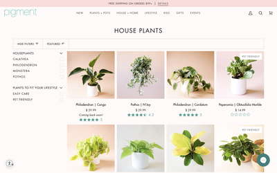 Pigment website screenshot