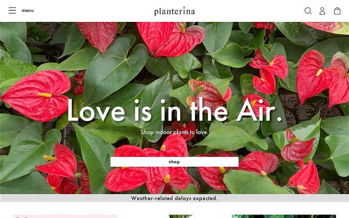Planterina - Ranks and Reviews