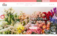 ReVased website screenshot