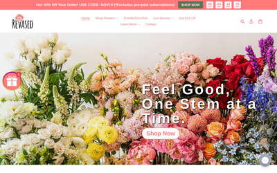 ReVased website screenshot
