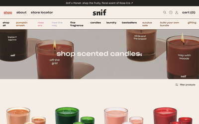 Snif website screenshot