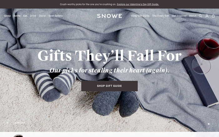 SNOWE screenshot
