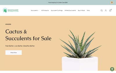 Succulent Market website screenshot