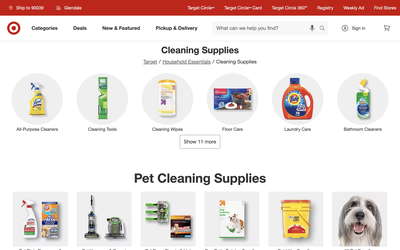 Target website screenshot