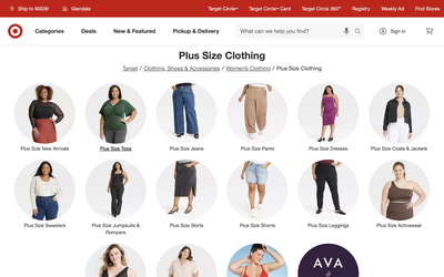 Target website screenshot
