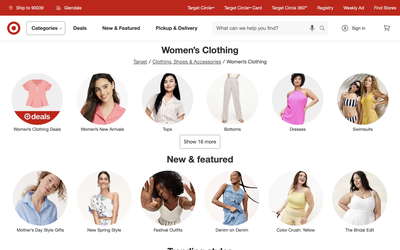 Target website screenshot