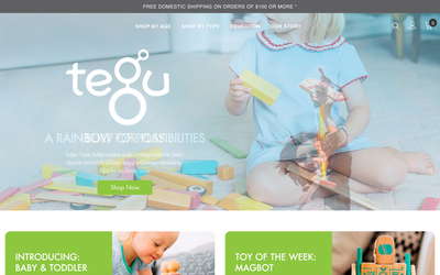 Tegu website screenshot