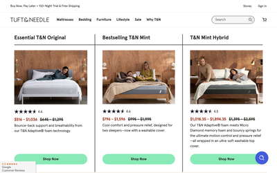 Tuft & Needle website screenshot