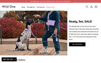 Wild One website screenshot