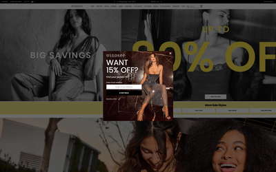 Windsor Store website screenshot